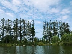 -上海长兴岛郊野公园