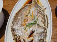 -老山东·山东菜(鲁菜名店)