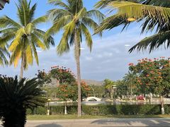 -三亚南山文化旅游区