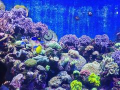 -珠海长隆海洋王国