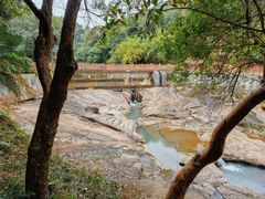 -广州白江湖森林公园