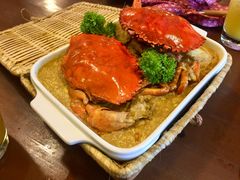 -茉莉.Red Crab