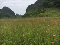 -靖西鹅泉风景区