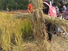 -前小桔亲子创意农场·草莓采摘·露营烧烤