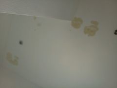 -海友酒店(上海静安寺店)