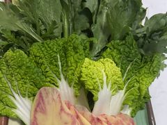 -菌之家·专业纯野生菌火锅·特色炒菌