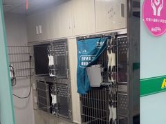 -半岛宠物医院24小时(科华中路店)