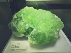 -湖南省地质博物馆