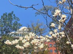 -湖南师范大学-木兰路食堂