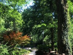 -素山寺森林公园