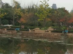 -新江湾城公园