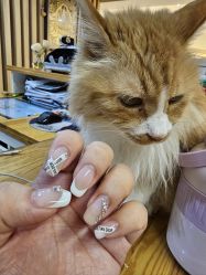 -沫儿·美甲美睫·半永久·皮肤管理