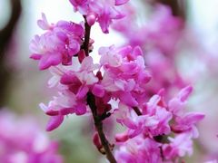 -天台山赤城山景区