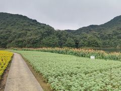 -广州市石门国家森林公园