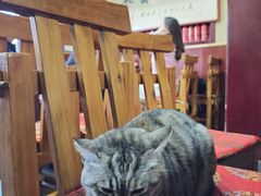 -老北京褡裢火烧·任记