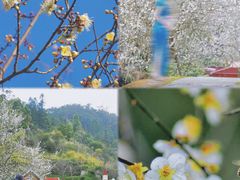 -广东天露山旅游度假区