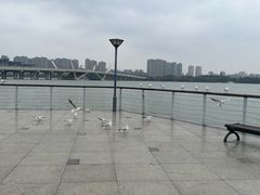 -蠡湖大桥公园