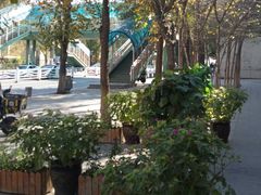 -海尔巴格一甸茶餐厅(团结路店)