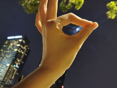 -上海浦东嘉里大酒店