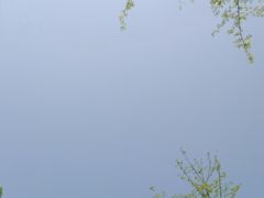 -白鹭湾湿地公园