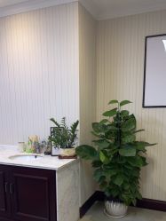 -南京医科大学友谊整形外科医院