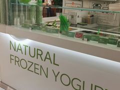 -Salud撒露欧洲冻酸奶(五道口购物中心店)
