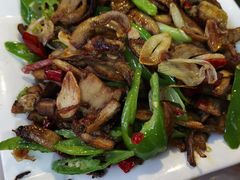 双椒牛肝菌-蘑统田下·野生菌火锅