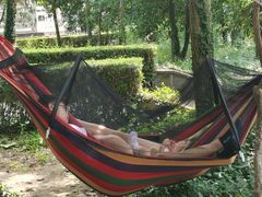 -上海佘山国家森林公园天马山园