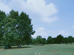 -灵谷景区
