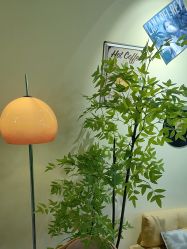 -变美丽半永久纹眉连锁·机器野生眉•洗眉