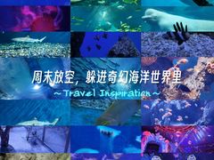 -海合安武汉极地海洋公园