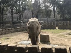 -武汉动物园