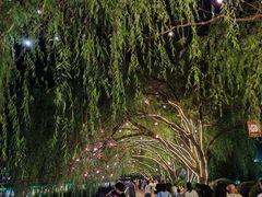 -沙澧河风景区