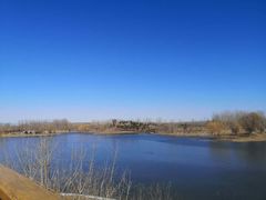 -东郊湿地公园