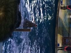 苏州海洋馆-苏州海洋馆