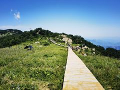 -白草畔自然风景区