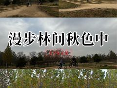 -乐行自行车运动乐园