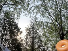 -济南国际园博园