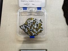 -安徽省地质博物馆