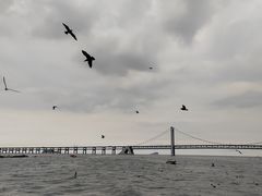 -星海广场