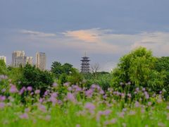 -洋湖国家湿地公园