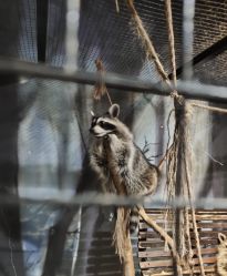 -酷嗒动物文化乐园(cutezoo西溪乐天城店)