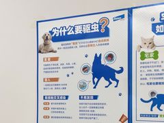 -米苏动物医院·犬猫专科·骨科外科内窥镜