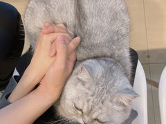 -Oasis绿洲银饰珍珠手作diy(壹方城店)