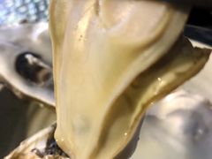 -千岛蚝高压锅生蚝·人参火锅(白云万达店)