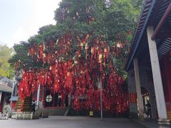 -国恩寺
