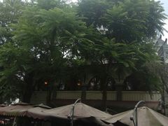 -三道苗苗鱼(三道堰老字号店)