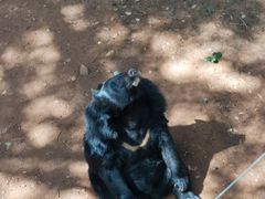 -昆明动物园