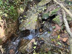 -青龙山国家森林公园