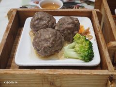 白灼牛肉丸-點無缺茶楼·海鲜酒家(世博店)